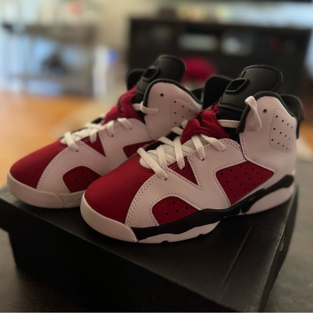 Jordan 6 Retro Carmine